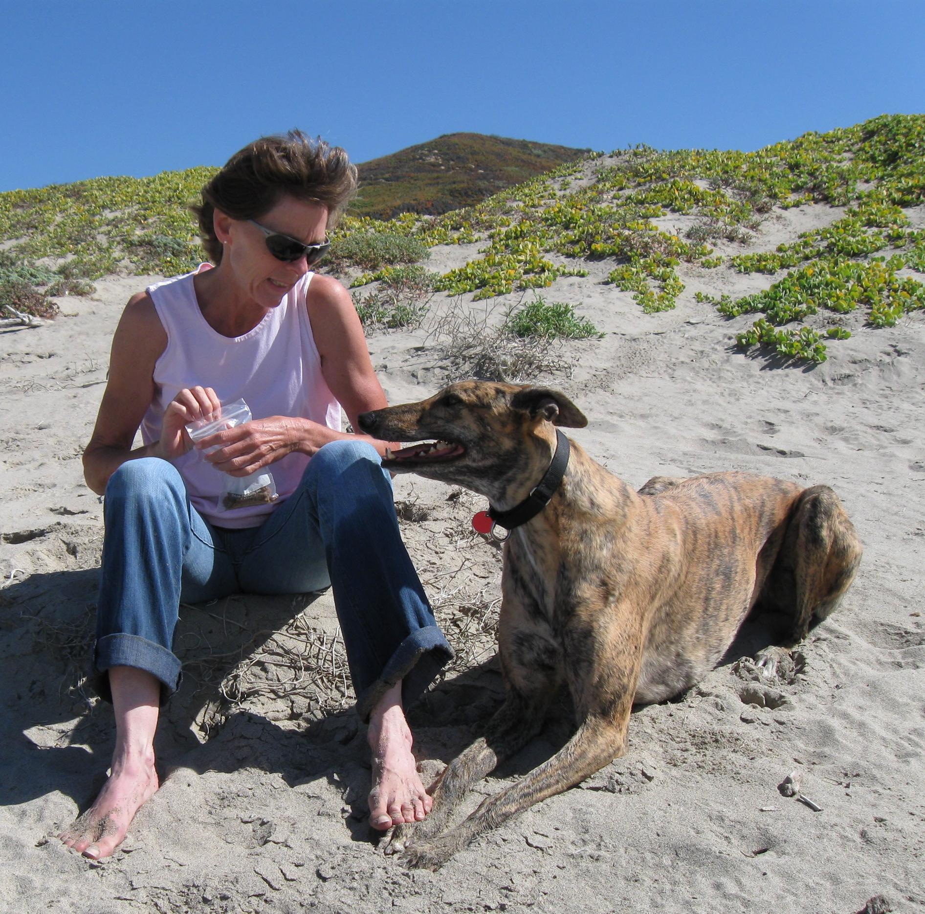 Professional Dog Trainer Sue Penn