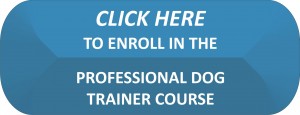 Enroll-FullCourse