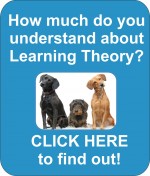 dog trainer school