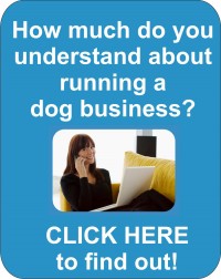 running a dog training business