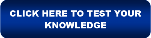 Professional dog trainers - test your knowledge