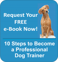 10 Steps to Become a Professional Dog Trainer