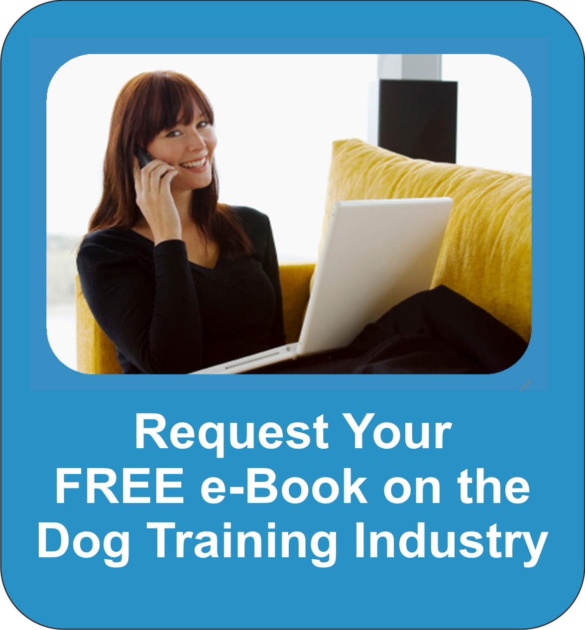 The business side of professional dog training