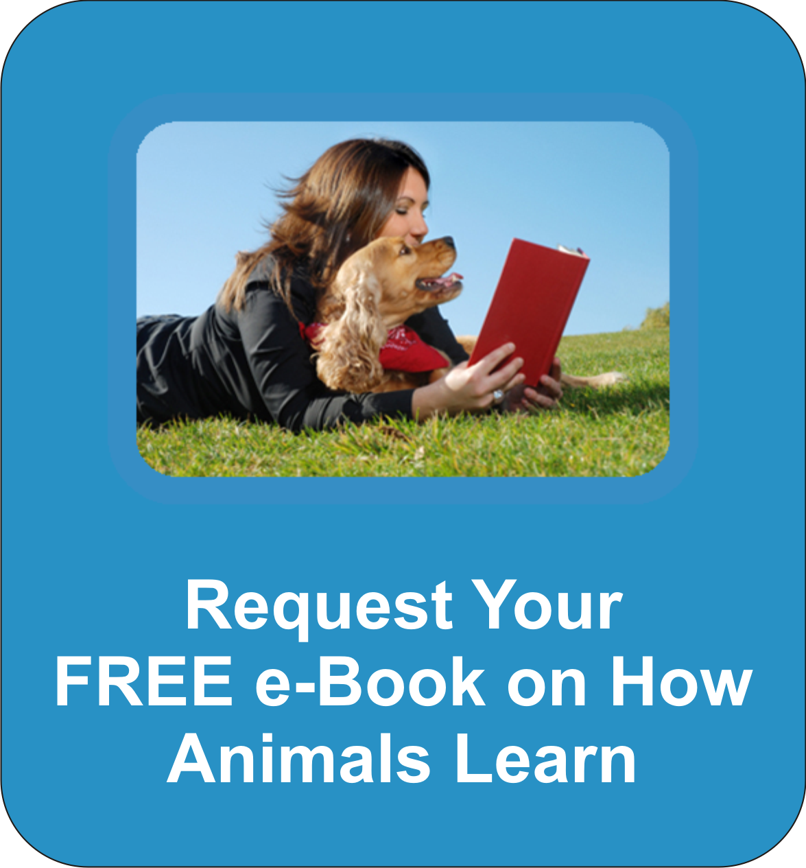 Everything a professional dog trainer needs to know about how animals learn